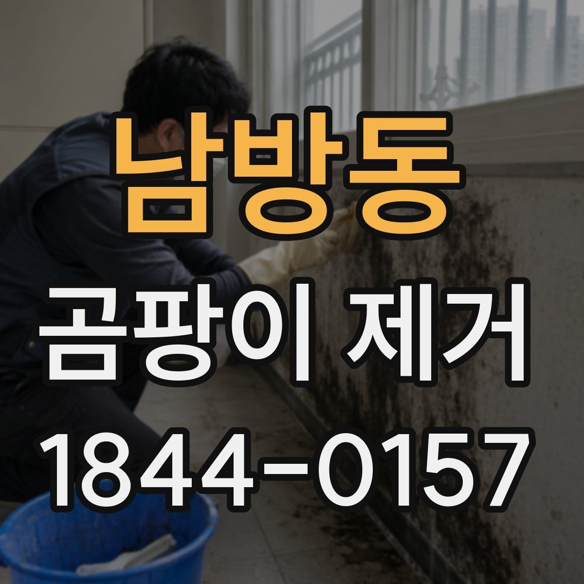 남방동 곰팡이 제거