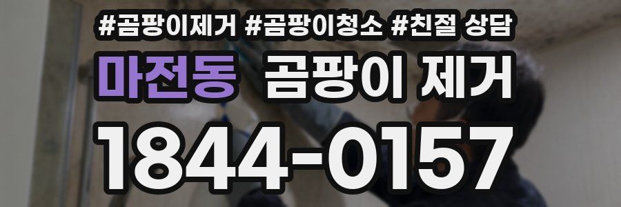 마전동 곰팡이 제거