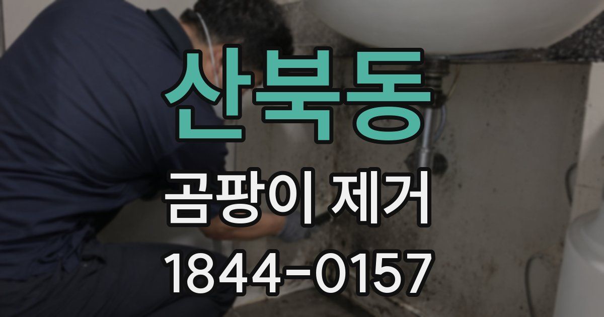 산북동 곰팡이 제거