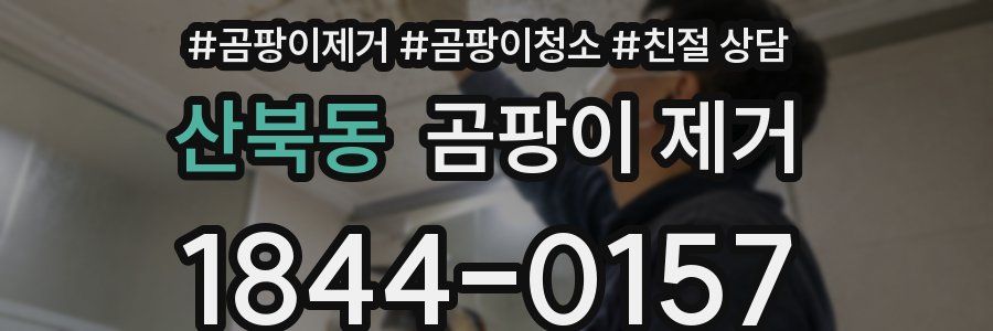 산북동 곰팡이 제거