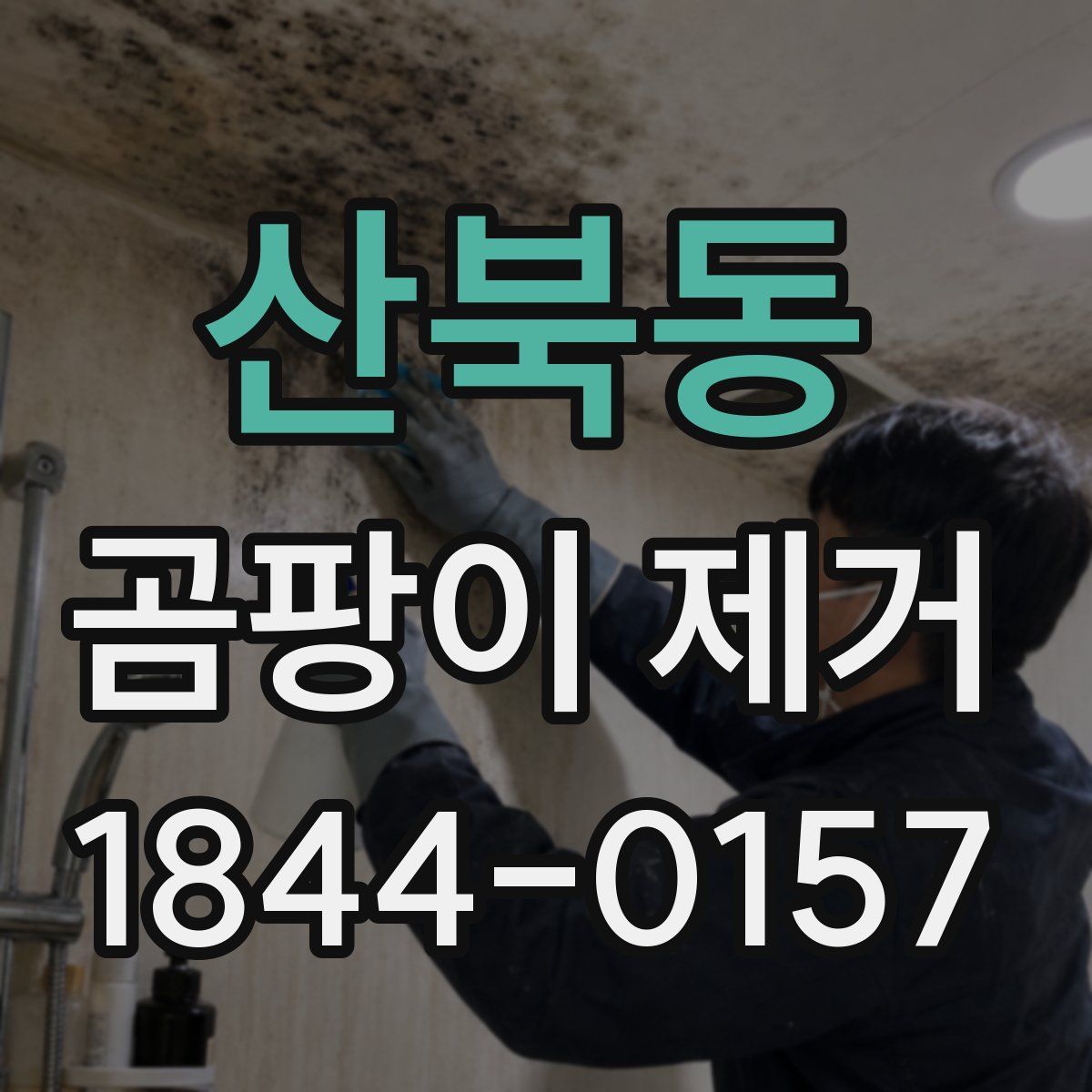 산북동 곰팡이 제거