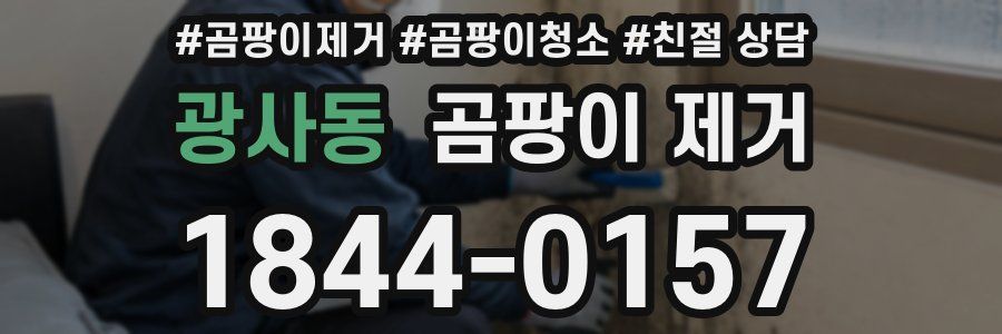 광사동 곰팡이 제거