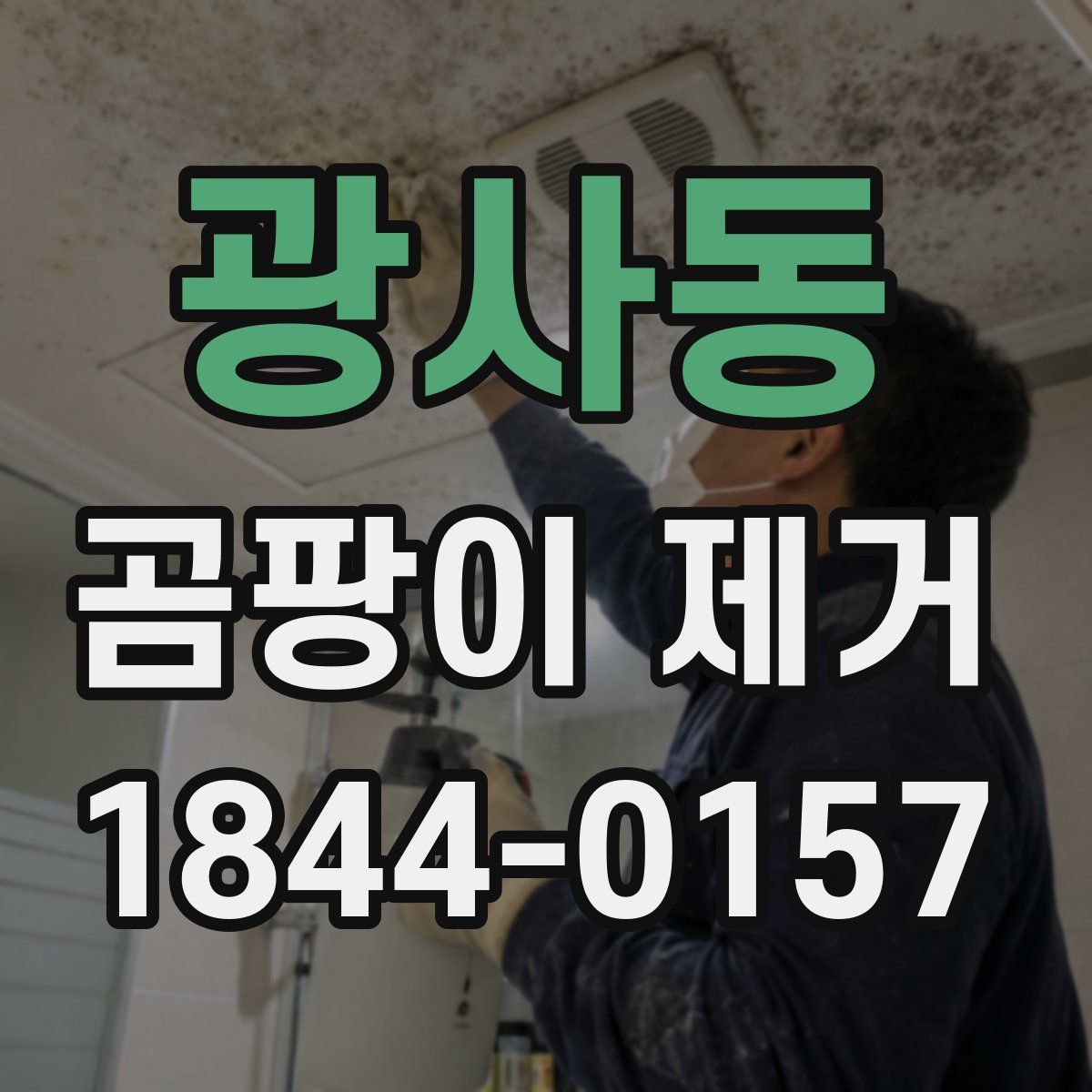 광사동 곰팡이 제거
