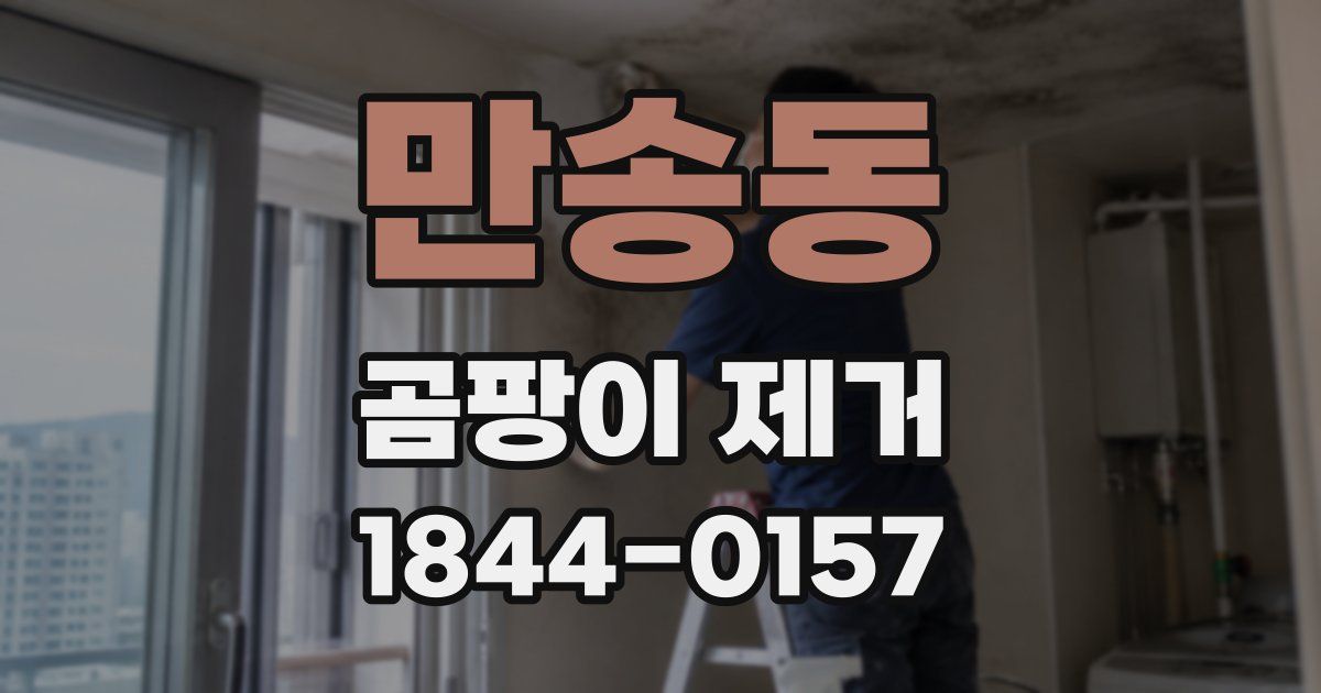 만송동 곰팡이 제거