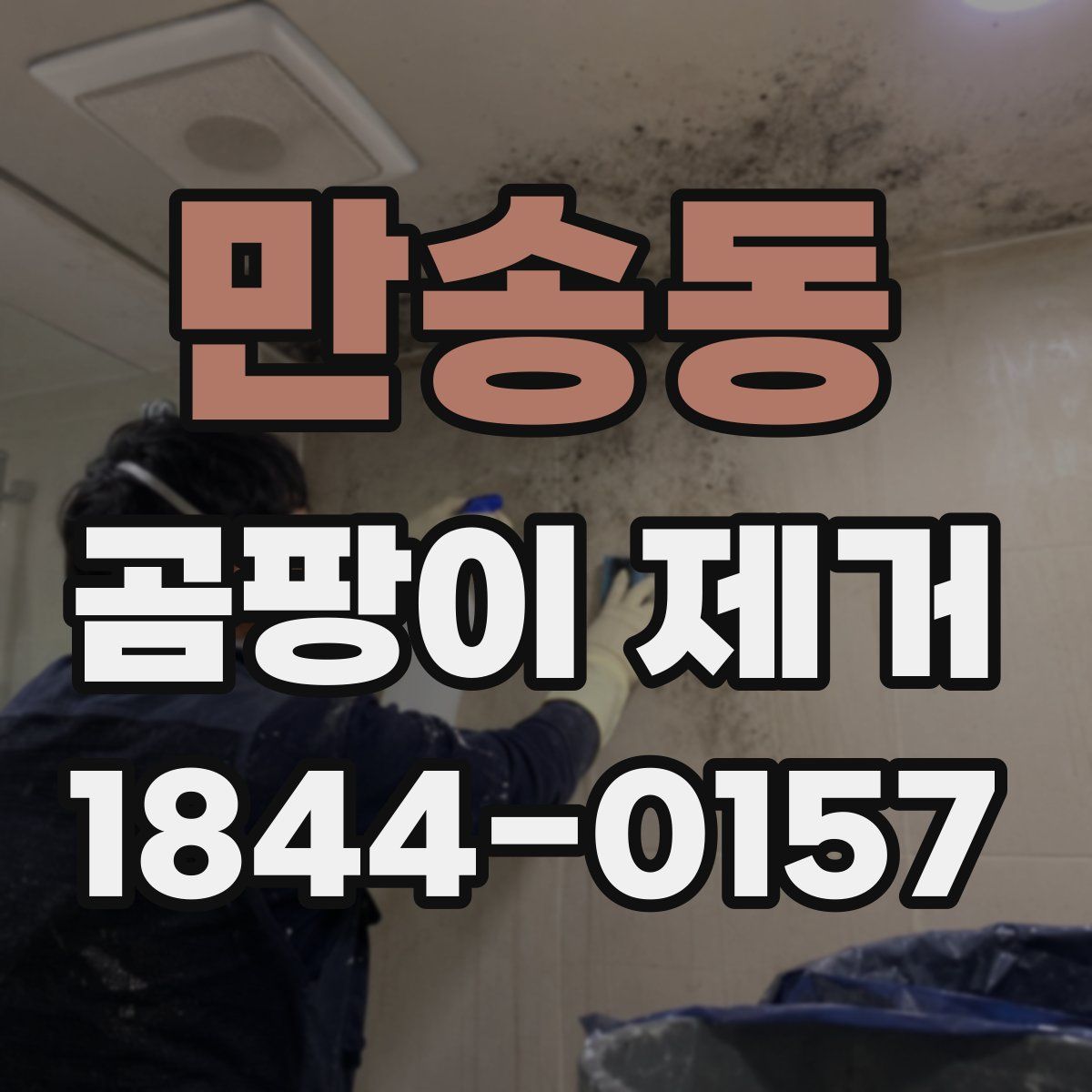 만송동 곰팡이 제거