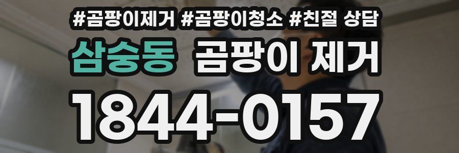 삼숭동 곰팡이 제거