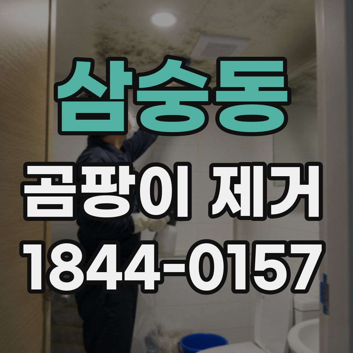 삼숭동 곰팡이 제거