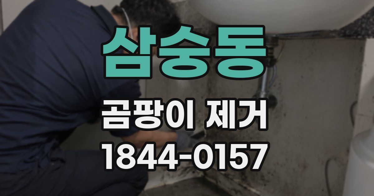 삼숭동 곰팡이 제거