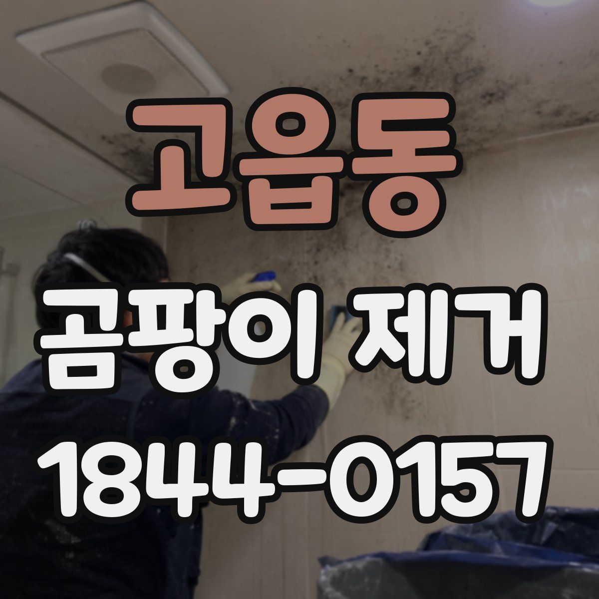 고읍동 곰팡이 제거