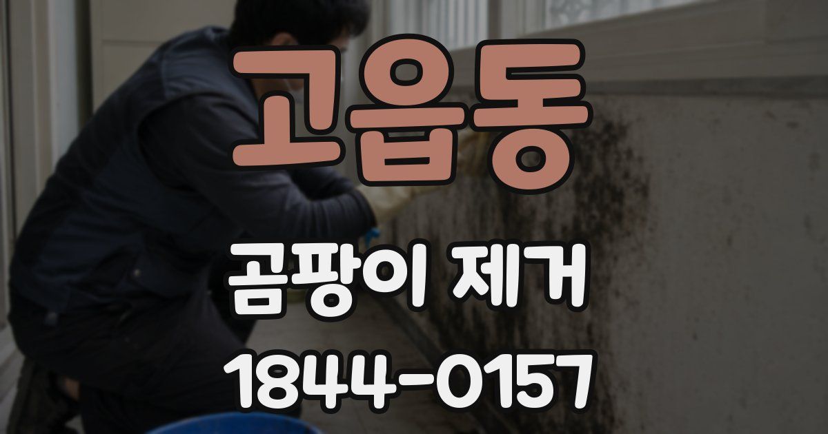 고읍동 곰팡이 제거