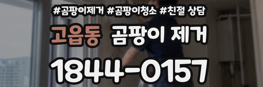 고읍동 곰팡이 제거
