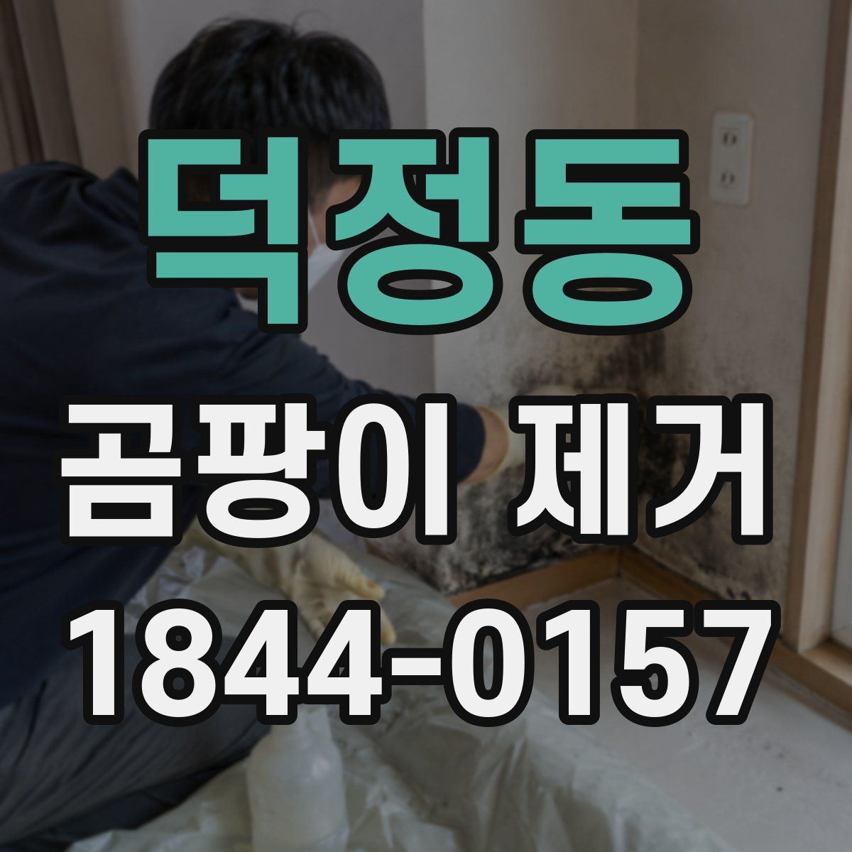 덕정동 곰팡이 제거