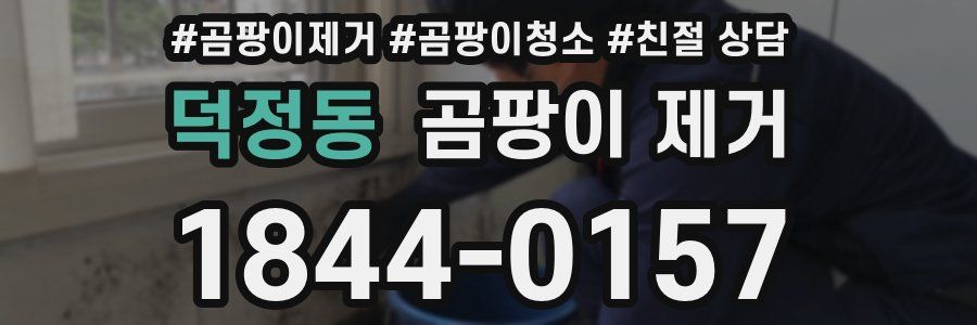 덕정동 곰팡이 제거