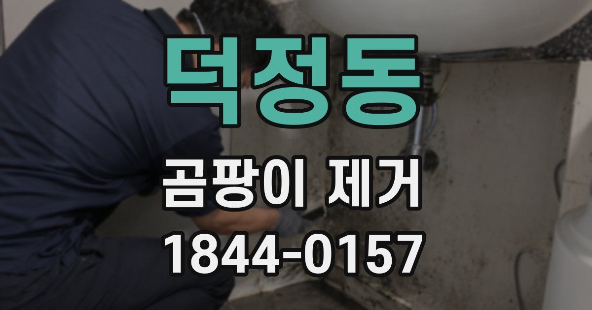 덕정동 곰팡이 제거