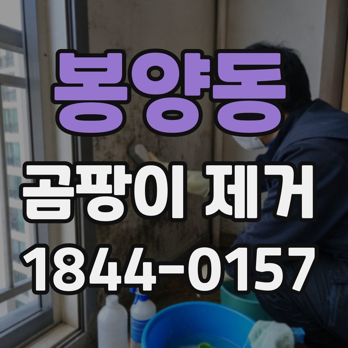 봉양동 곰팡이 제거