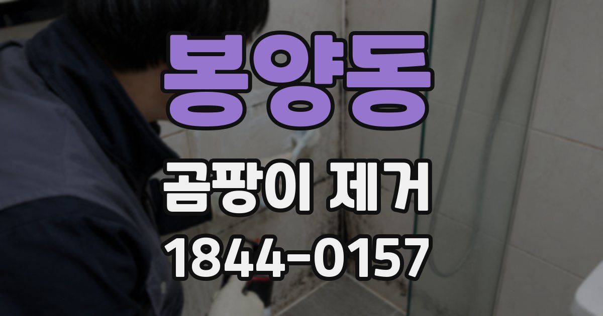봉양동 곰팡이 제거