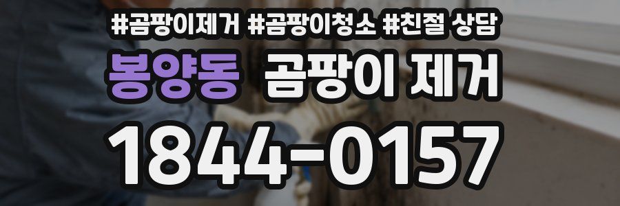 봉양동 곰팡이 제거