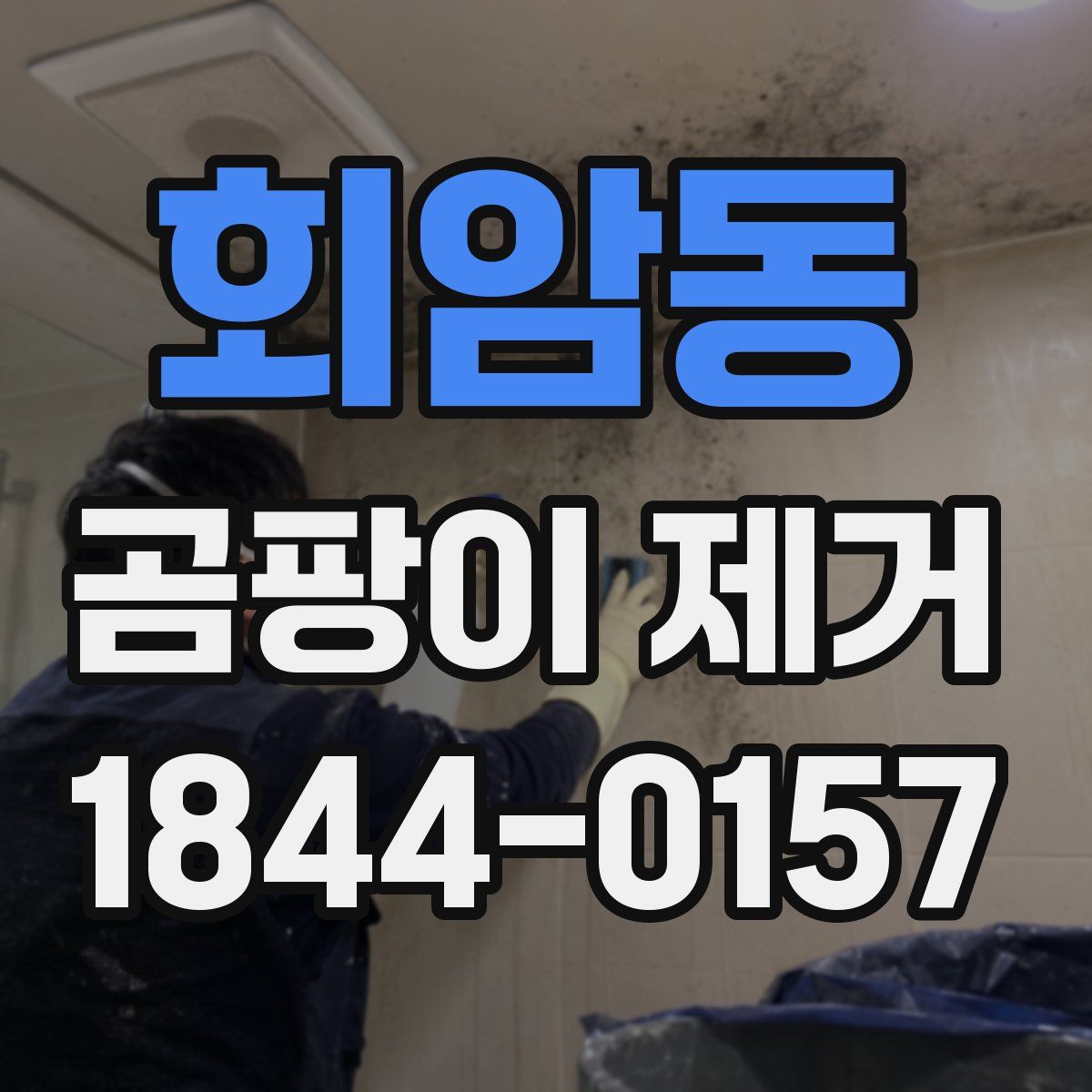 회암동 곰팡이 제거