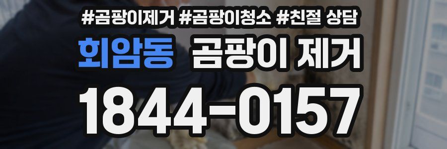 회암동 곰팡이 제거