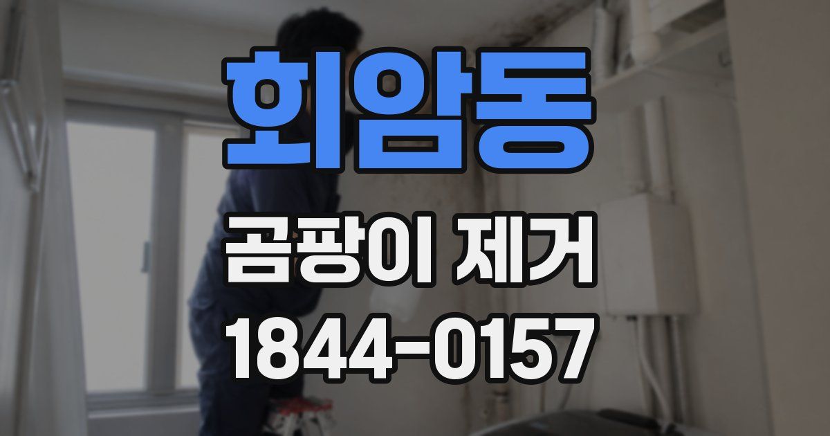 회암동 곰팡이 제거