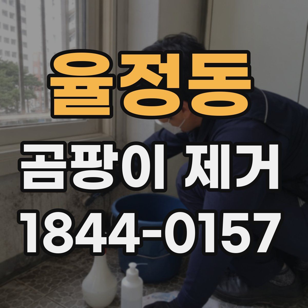 율정동 곰팡이 제거