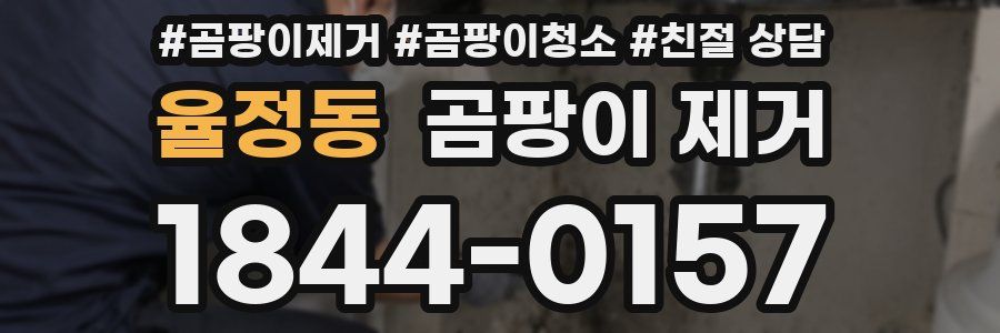 율정동 곰팡이 제거
