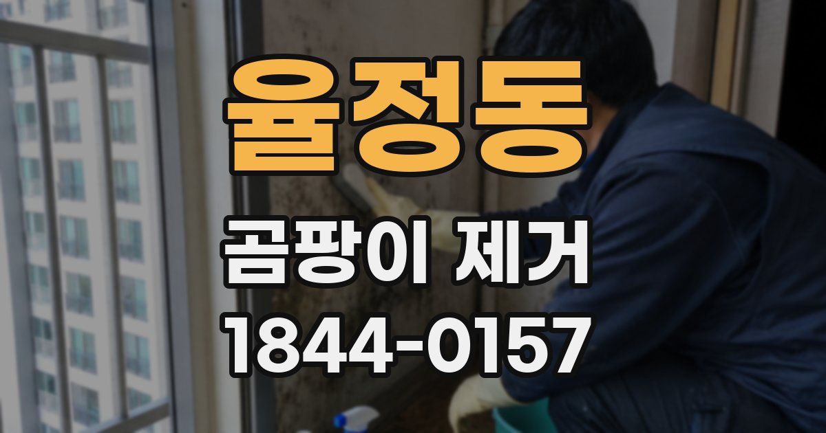 율정동 곰팡이 제거