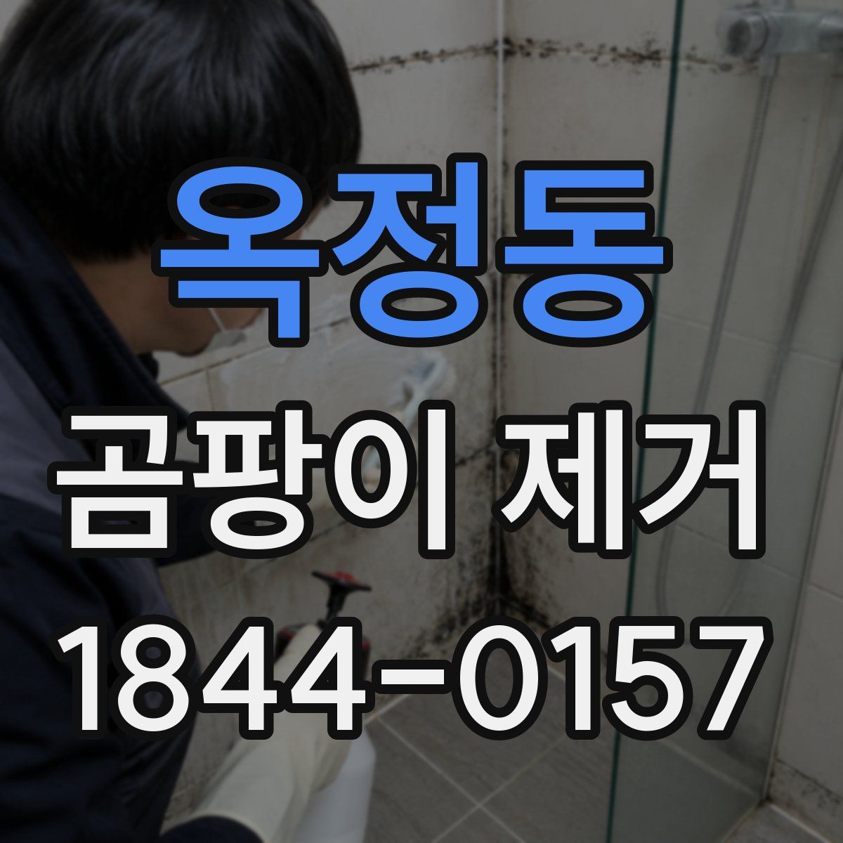 옥정동 곰팡이 제거