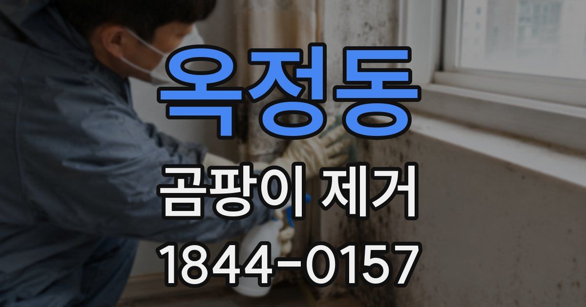 옥정동 곰팡이 제거