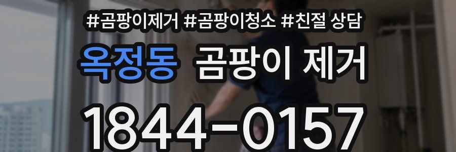 옥정동 곰팡이 제거