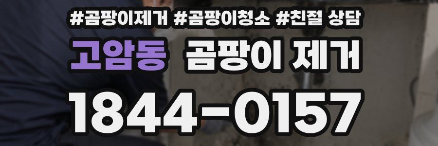 고암동 곰팡이 제거