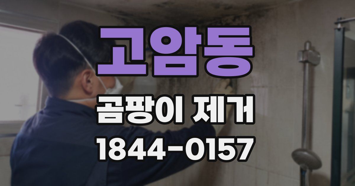 고암동 곰팡이 제거