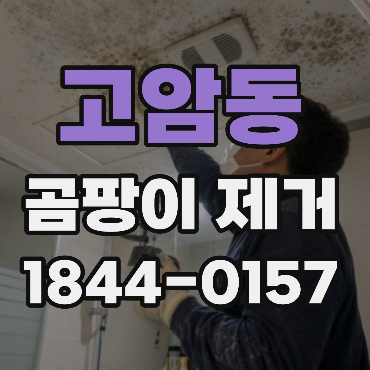 고암동 곰팡이 제거