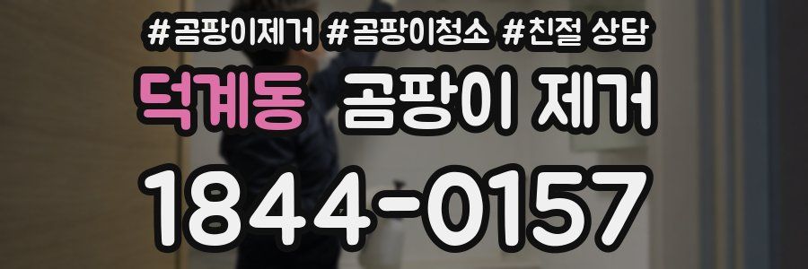 덕계동 곰팡이 제거
