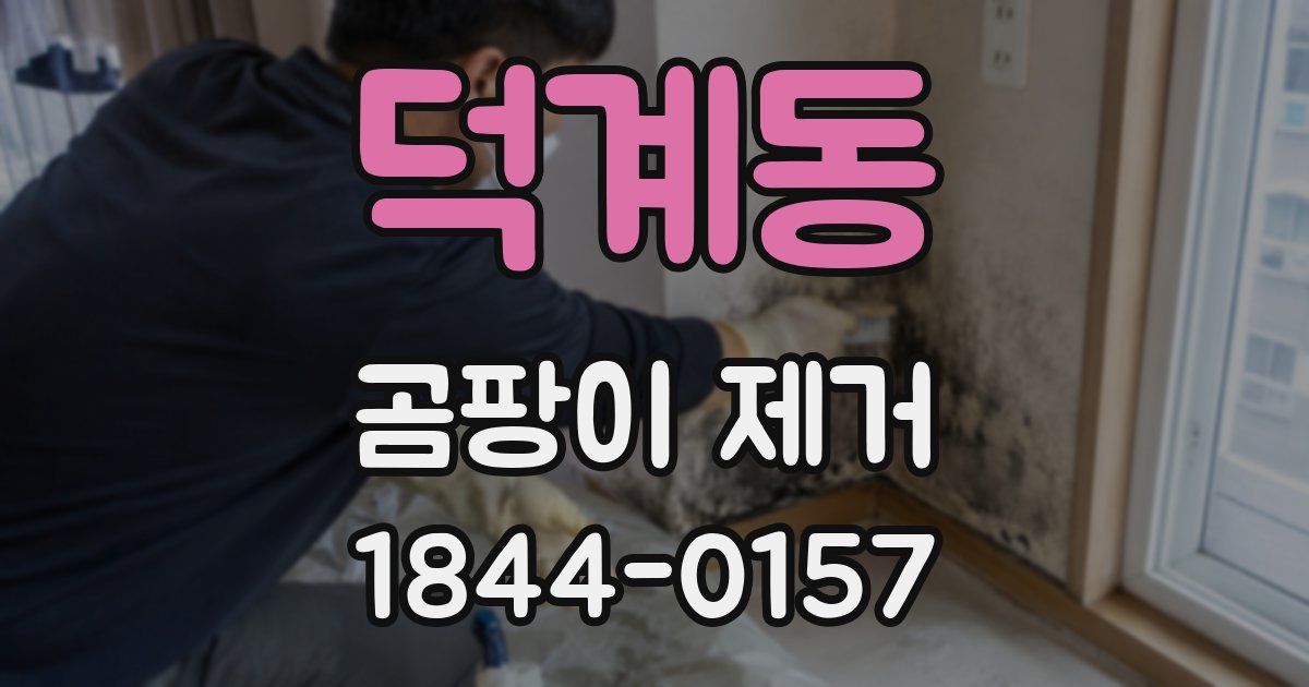 덕계동 곰팡이 제거