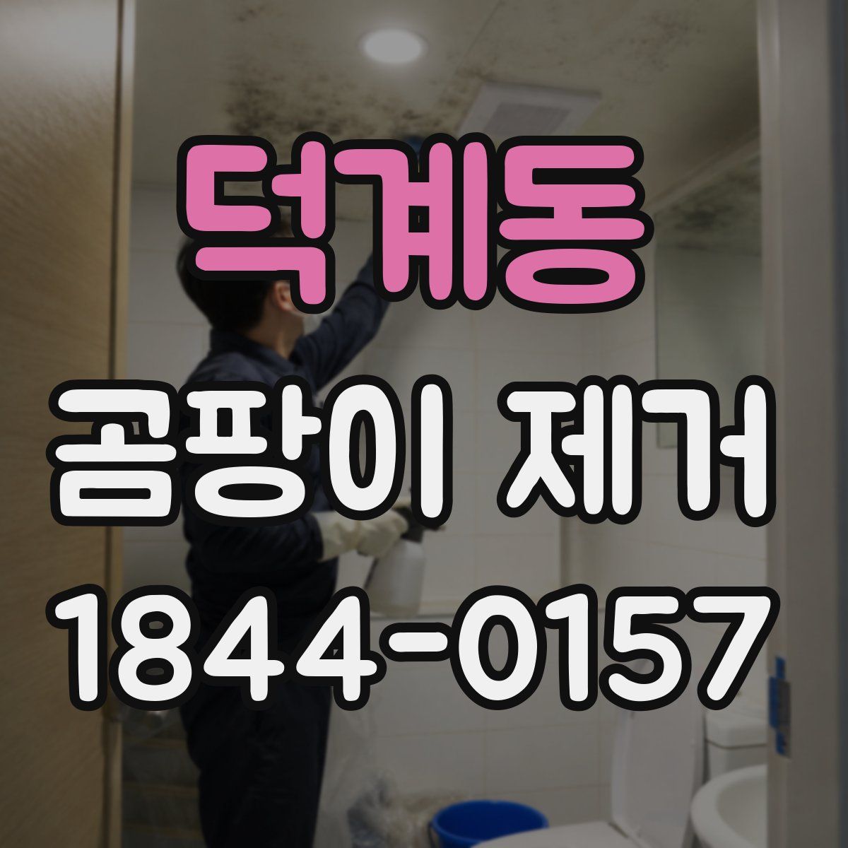 덕계동 곰팡이 제거
