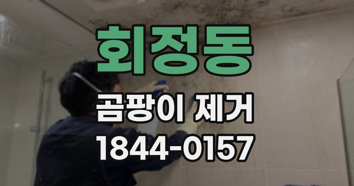 회정동 곰팡이 제거