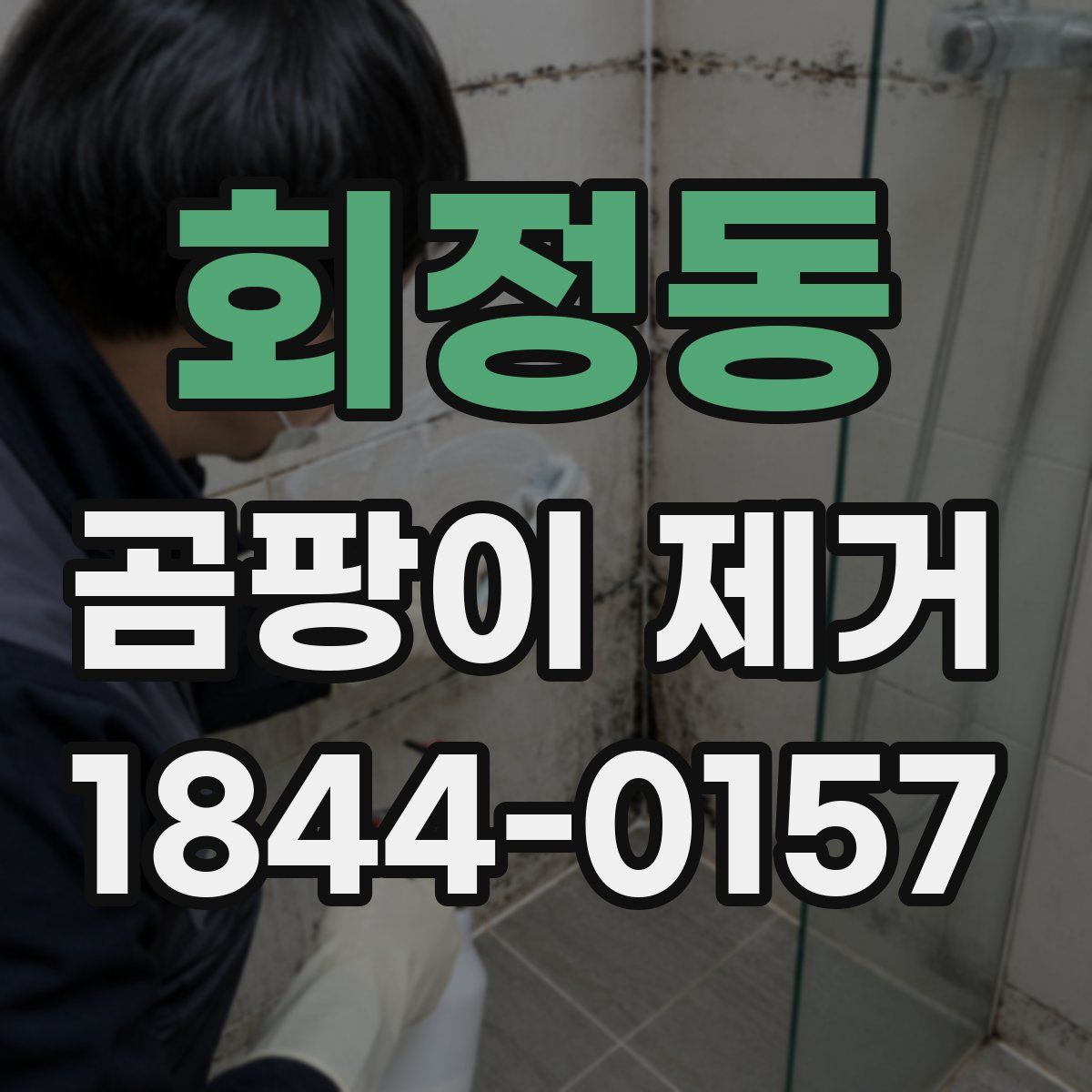 회정동 곰팡이 제거