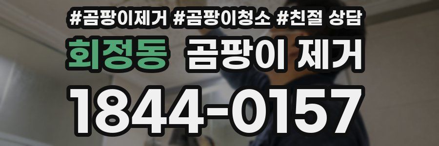 회정동 곰팡이 제거