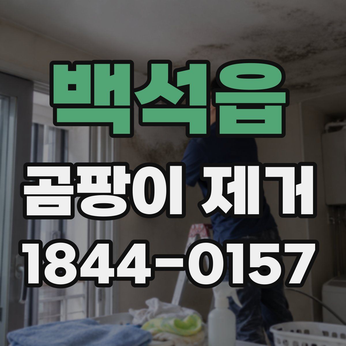 백석읍 곰팡이 제거