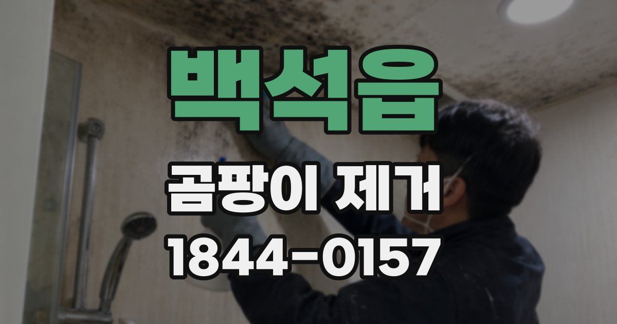 백석읍 곰팡이 제거