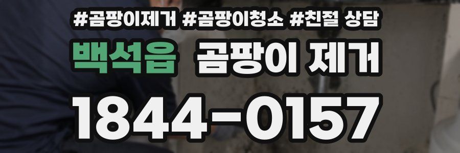 백석읍 곰팡이 제거