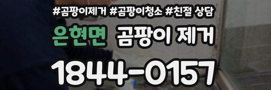 은현면 곰팡이 제거