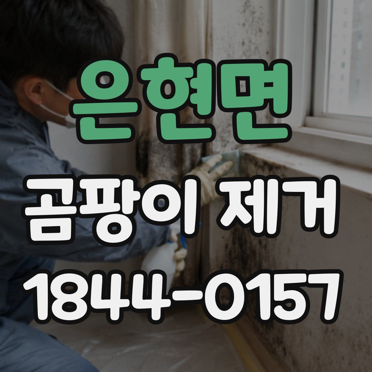 은현면 곰팡이 제거