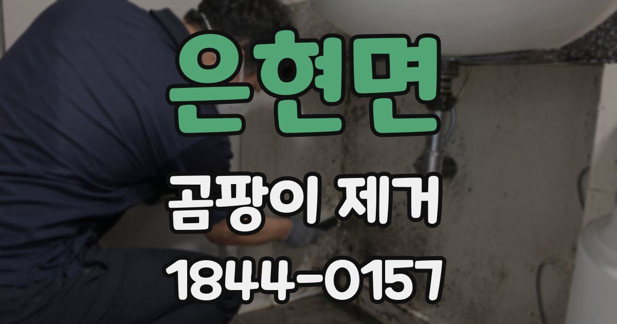 은현면 곰팡이 제거