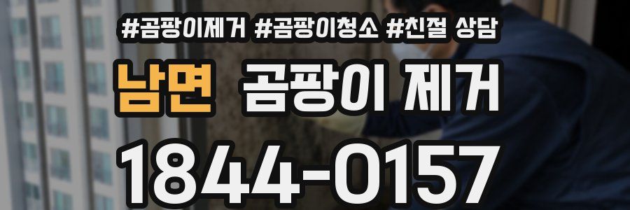 남면 곰팡이 제거