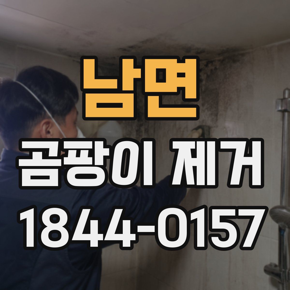 남면 곰팡이 제거