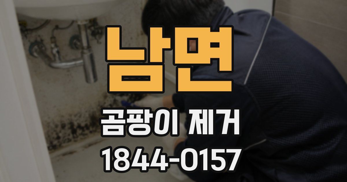 남면 곰팡이 제거