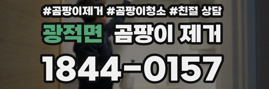 광적면 곰팡이 제거