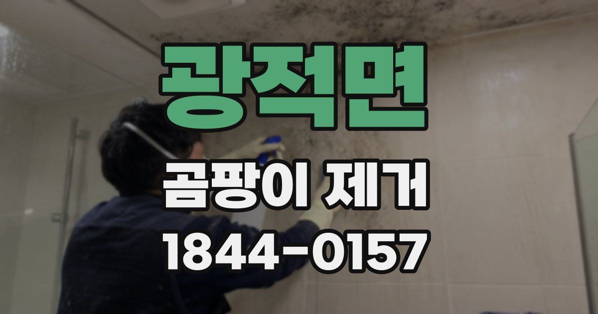 광적면 곰팡이 제거